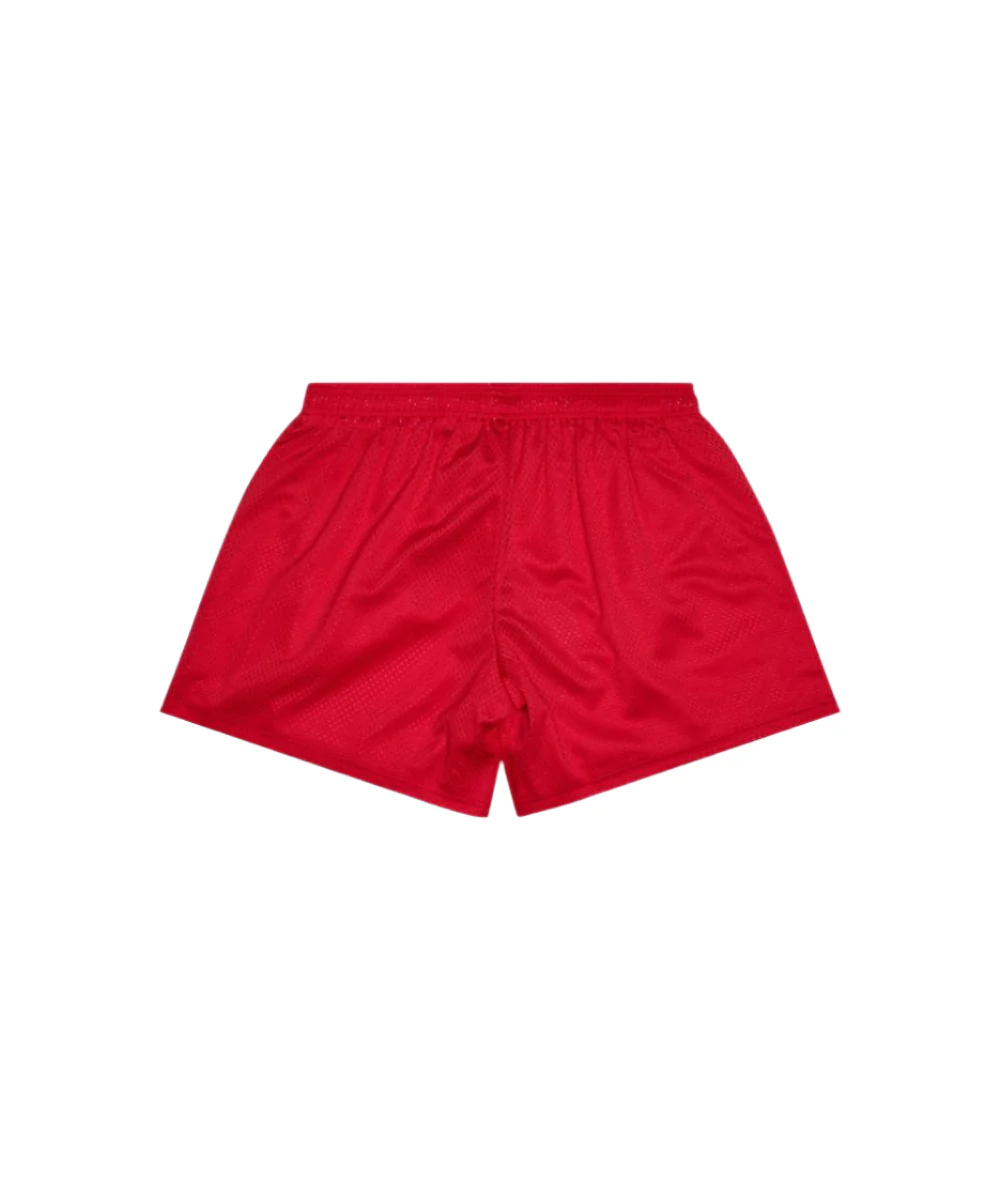 6Th Nbrhd Try-Outs Shorts - Mesh - Image 11