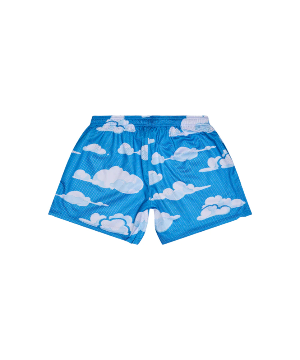 6Th Nbrhd Try-Outs Shorts - Mesh - Image 16